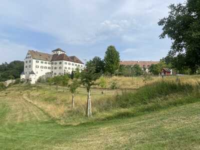 TELEGRAMM - President's Prize - Schloss Langenstein - 2026